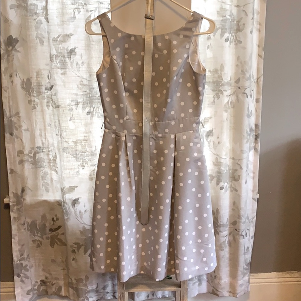 White House Black Market Gray Polkadot dress belt